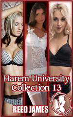 Harem University 13