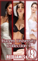 Harem University 4