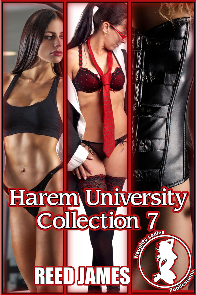 Harem University Collection Seven