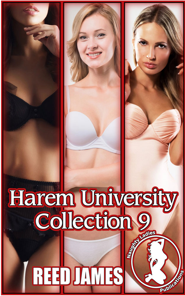 Harem University Collection Nine